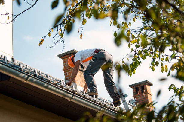 Quick and Trustworthy Emergency Roof Repair Services in Muhlenberg Park, PA